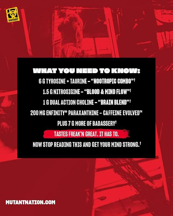 61kKWzWVDUL._AC_SX679