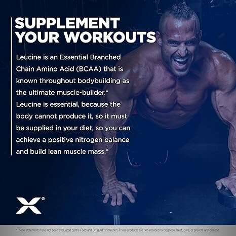 81Y_81fced7d-588e-4f84-a0c1-588b60e7ded7