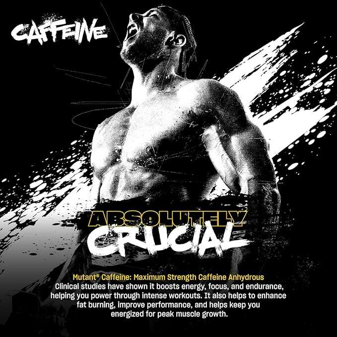 81lWbXnhLyL._AC_SX679