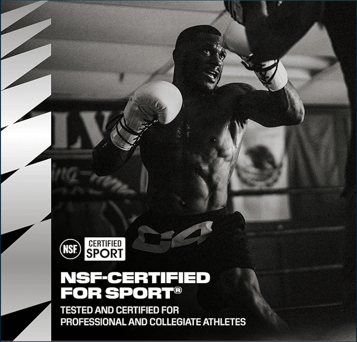 Picture19_d37cea49-4757-498a-bf2a-152c151f1db9