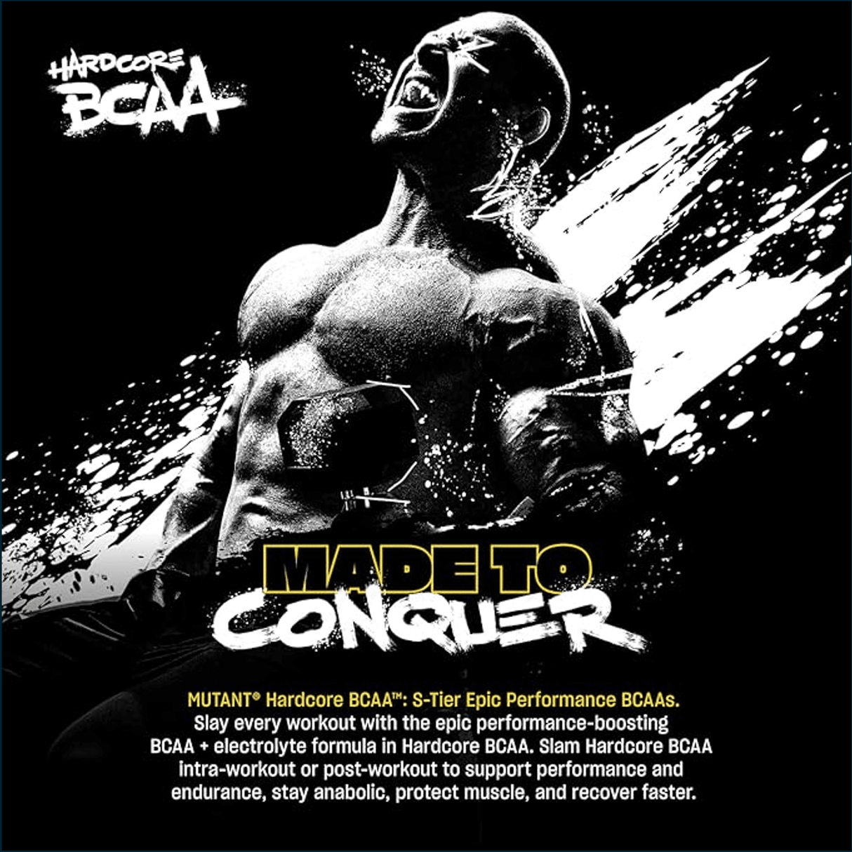 Picture19_f9973d10-710a-427d-8d2a-cd9e879d0fd7