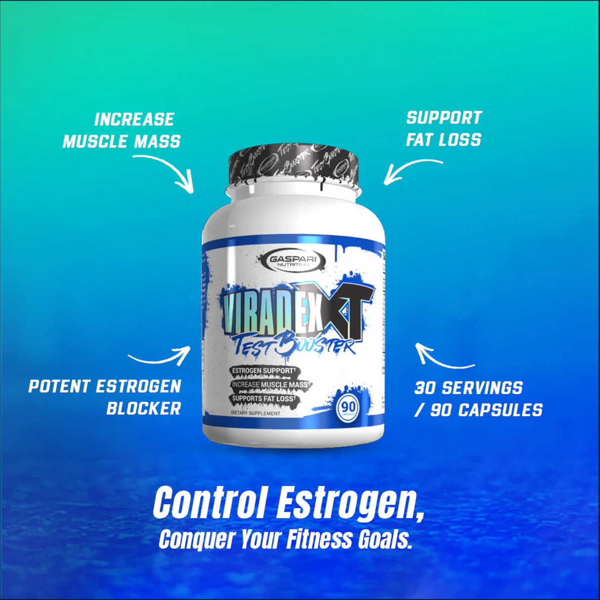 Gaspari Viradex XT, 2 x 90 Capsules