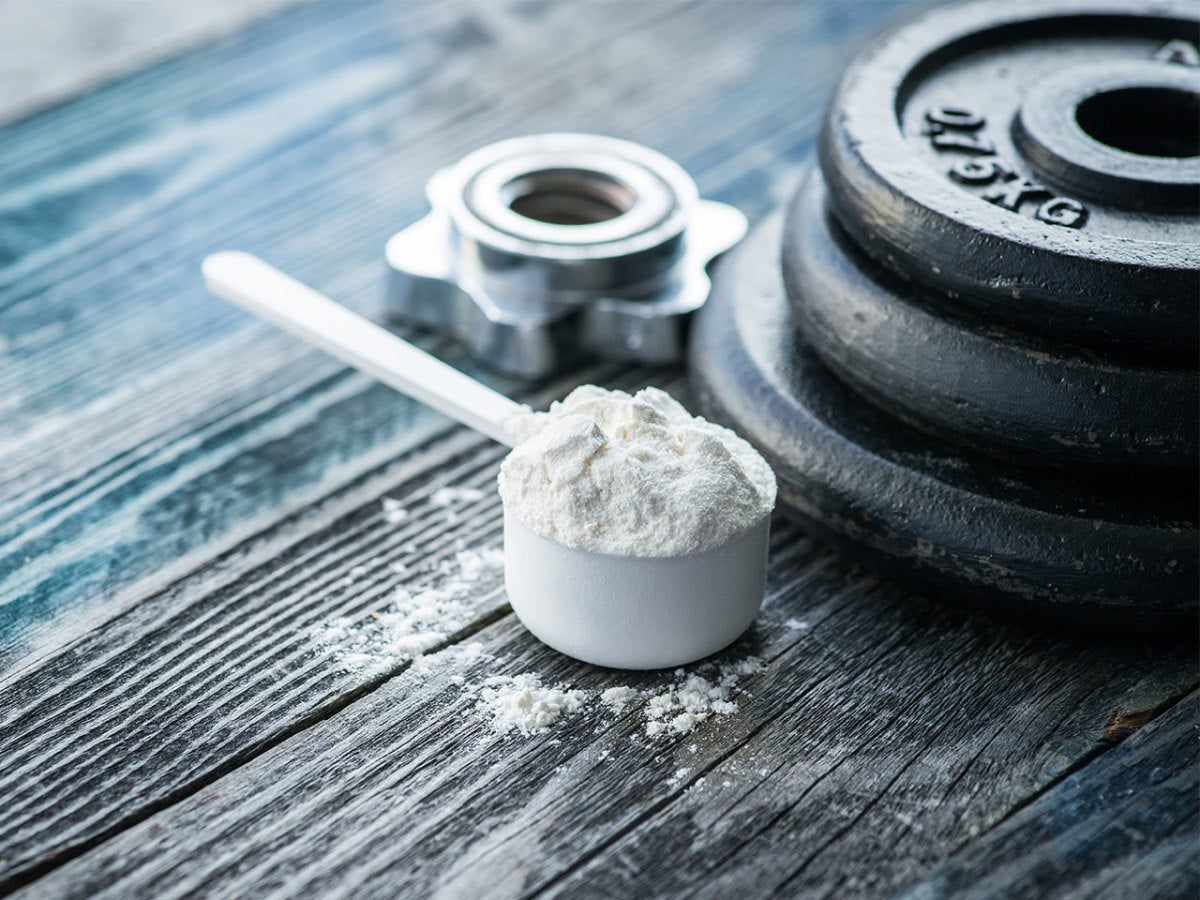 What Is Creatine and Why Should Both Men & Women Be Taking It?