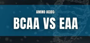 BCAAs vs EAAs: What’s the Difference, and Why It Matters More in the Heat