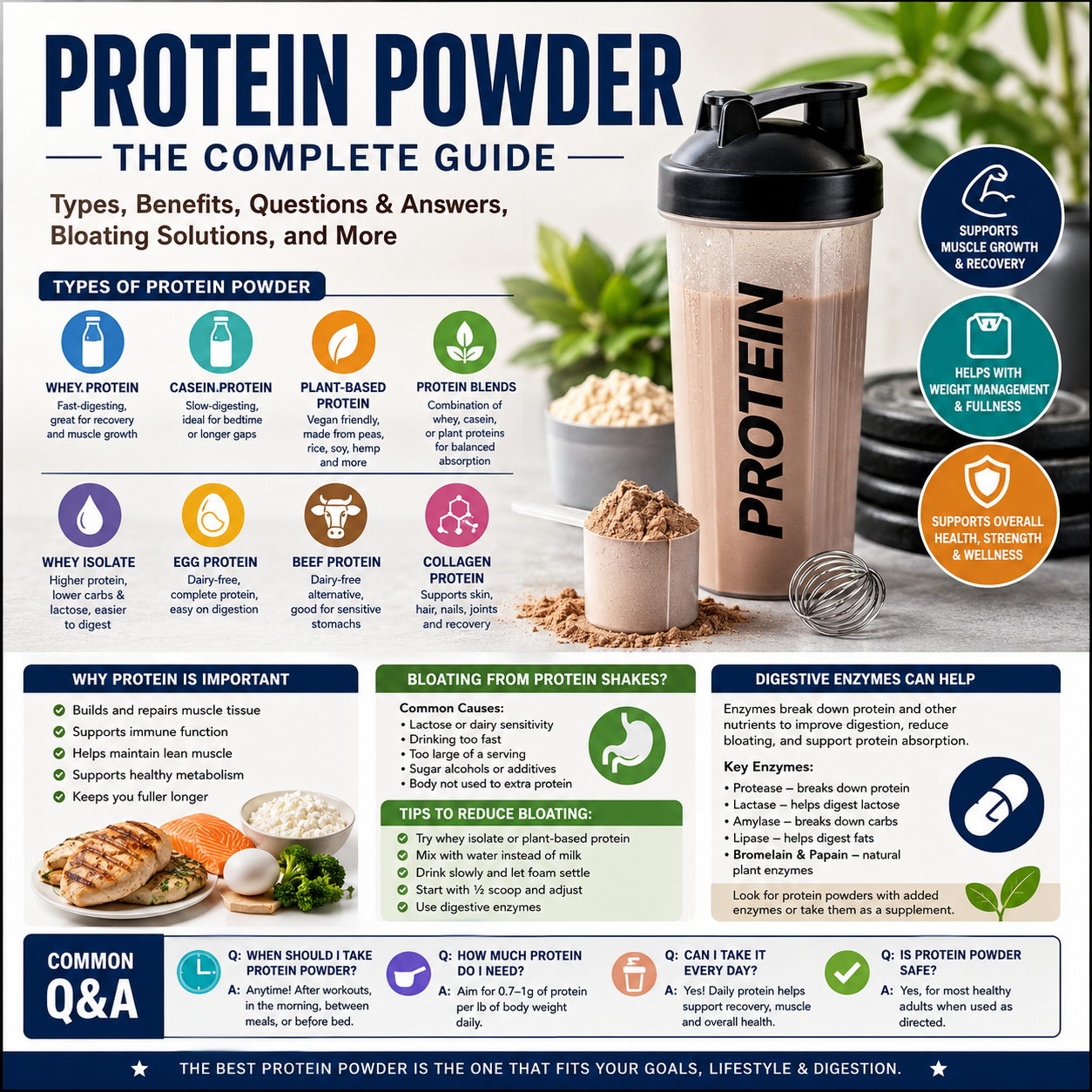 Protein Powder Questions and Answers: