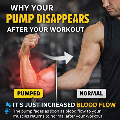 Why Your Pump Disappears After a Workout (And What It Means)