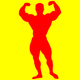 UNIVERSAL NUTRITION