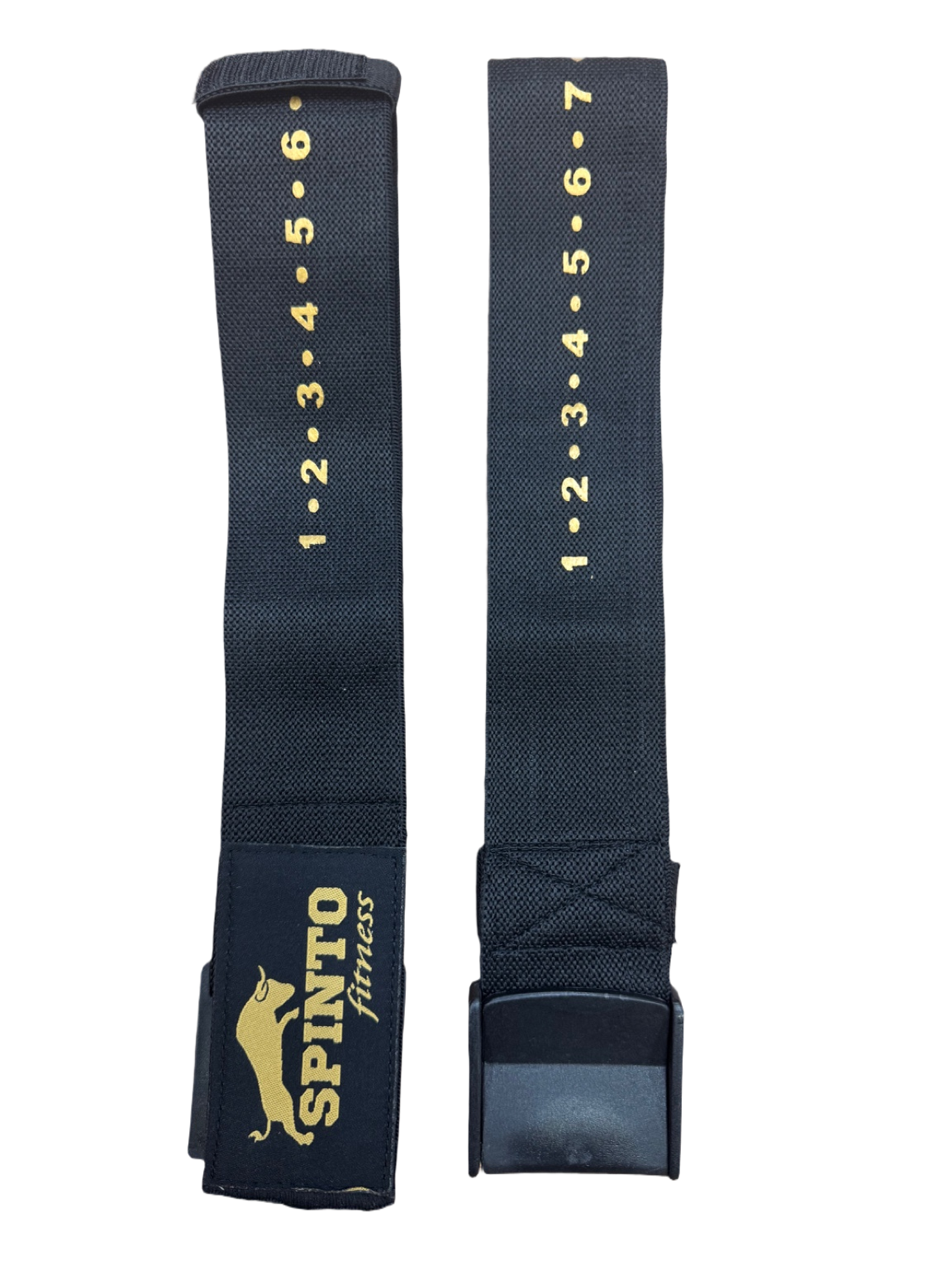 Adjustable Bicep Bands | Track Your Progress