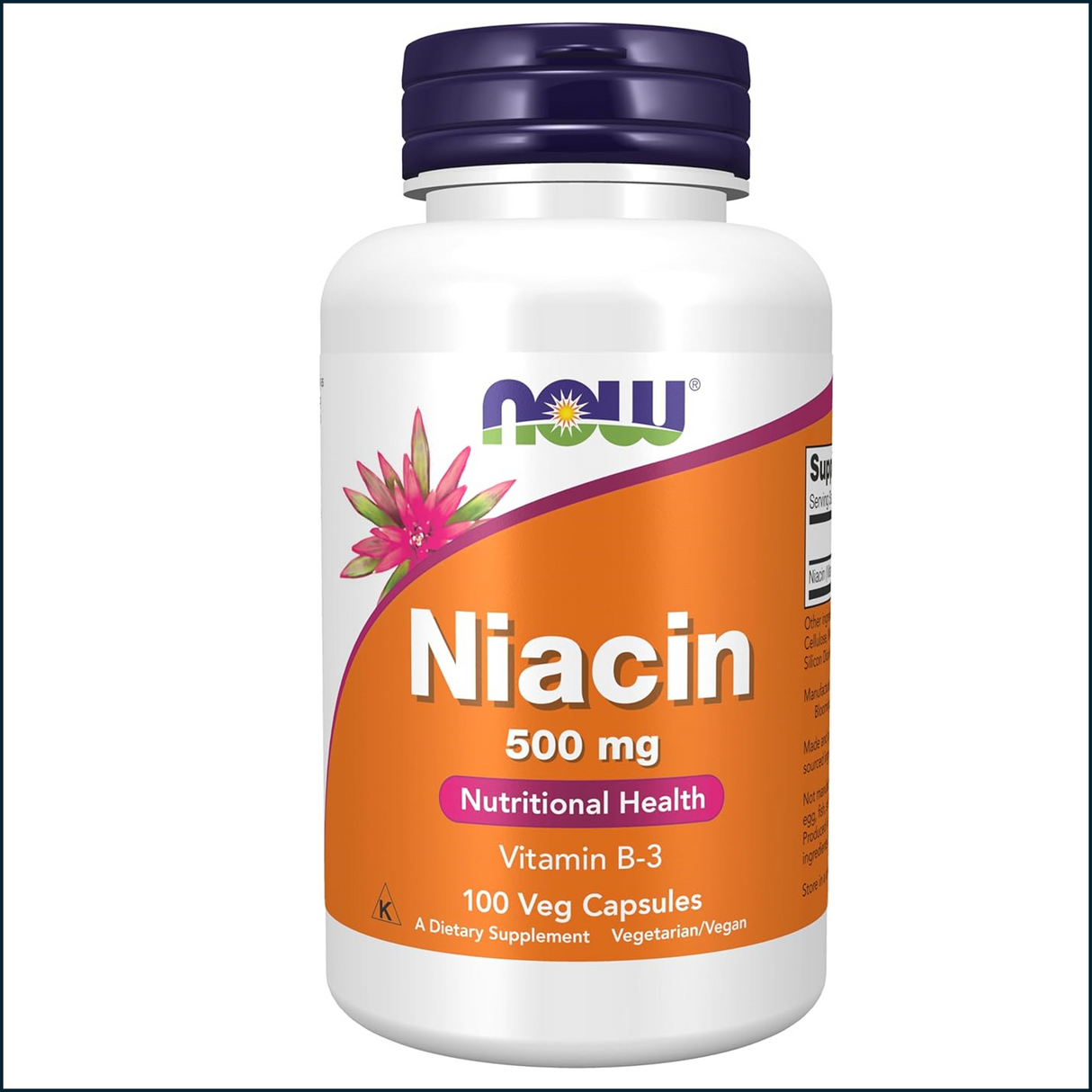 Now Foods Niacin 500mg, 100 Capsules (Last One)