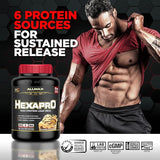 Allmax Hexapro High Protein Lean Meal 5lbs