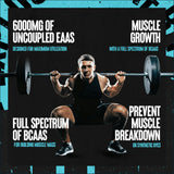 Animal Nitro EAA, 44 Packs BCAA | Amino Acids Universal Nutrition 