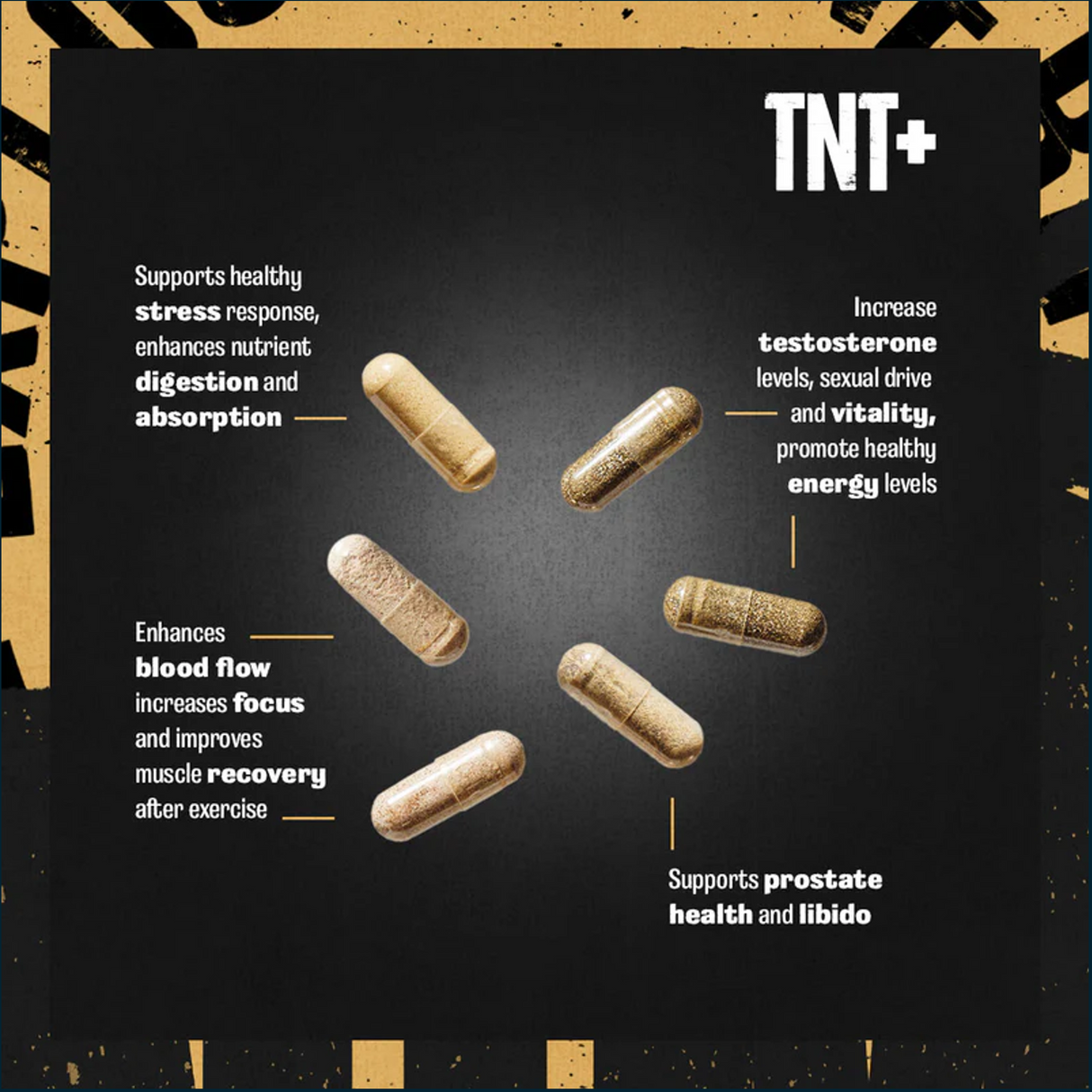 Universal Nutrition Animal TNT+, 30 Packs