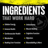 Animal Pak, 44 Packs Vitamins | Herbs Universal Nutrition 