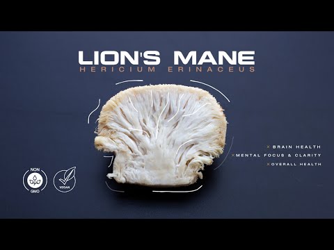 Allmax Lion's Mane, 60 Vcaps (Limit 6)